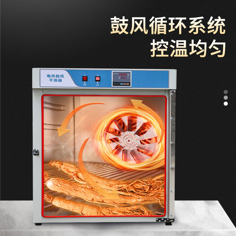电热鼓风干燥箱 - 图片 4